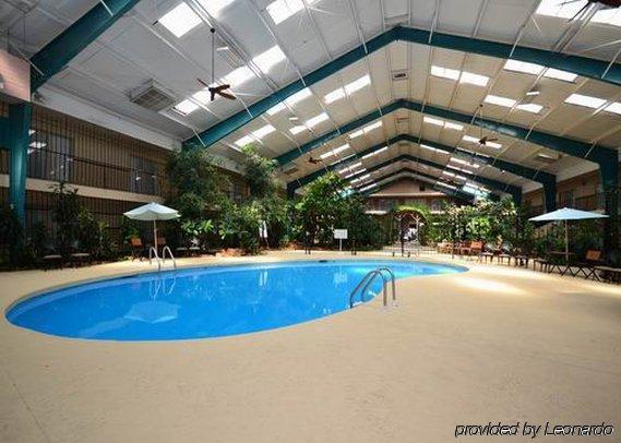 Rodeway Inn Cow Palace Lamar Létesítmények fotó